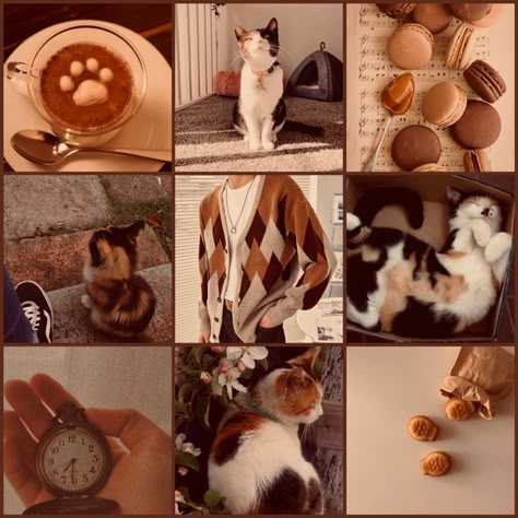 Fashion Mood Color Place Animal Food, Mood Board Astetic, List Of Scents, Madam Aesthetic, Muted Tones Aesthetic, Animal Mood Board, Animal Moodboard Aesthetic, Mood Bored Aesthetic, Cow Moodboard