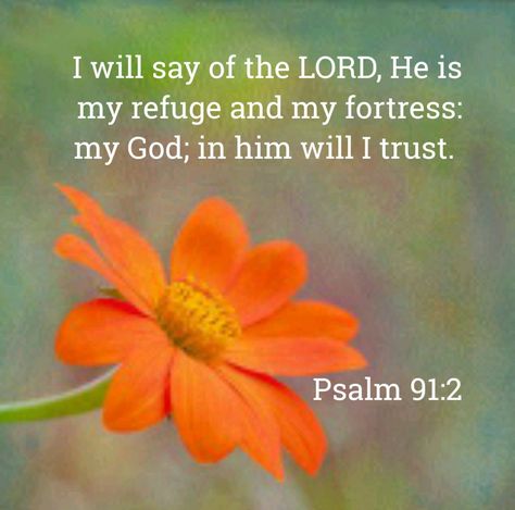 Psalm 91:2 KJV Psalm 91:1-2 Wallpaper, Psalm Verses, Scriptures Kjv, Psalm 141, Psalm 91 2, Psalm Scriptures, Psalm 91 1, Healing Verses, True Faith