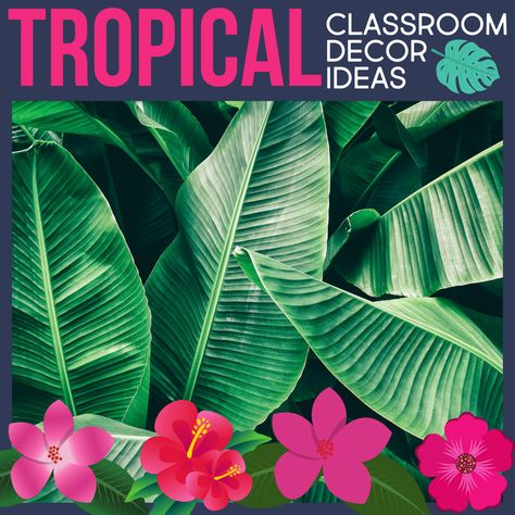 Tropical Classroom Theme Ideas for Elementary Teachers in 2022 - Clutter-Free Classroom | by Jodi Durgin Themes For Classrooms, Tropical Classroom Theme, Rainforest Classroom, Classroom Theme Ideas, Middle School Drama, Tropical Classroom, Forest Classroom, Plants Classroom, Beach Theme Classroom