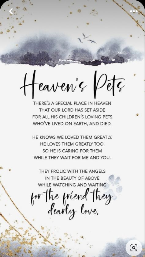 Rip Dog Quotes, Losing A Dog Quotes, Losing A Pet Quotes, Dog Heaven Quotes, Pet Poems, Sympathy Poems, Miss My Dog, Losing My Best Friend, Dog Poems