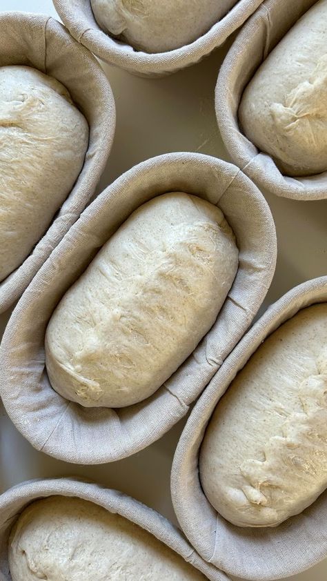 Little Pearl Breads & Bakes | Sourdough Micro Bakery | Macey on Reels | Andrew Gialanella · Promise Micro Bakery, Bakery Kitchen, Healthy Food Inspiration, Home Bakery, Bakery Bread, Reduce Food Waste, Artisan Bread, Sourdough Starter, Basic Recipes