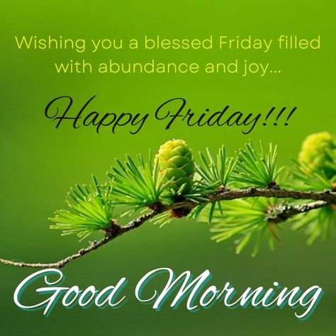 135 + Happy Friday Good Morning Beautiful HD Images & Pictures with Wishes Friday Quotes Good Morning, Good Morning Friday Wishes, Good Morning Happy Friday Images, Good Morning Friday Quotes, Happy Friday Good Morning, Friday Morning Greetings, Friday Good Morning, Happy Friday Pictures, Good Morning Friday Images