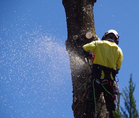 From loggers to pilots, these workers have the top 10 most dangerous jobs in America, according to the latest data Dangerous Jobs, Professional Growth, Pilots, In America, Top 10, The Top, Aircraft, 10 Things, Quick Saves