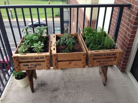 13 Raised Bed Gardens for Balcony Ideas | Balcony Garden Web Balcony Herbs, Apartment Vegetable Garden, Balcony Herb Gardens, Patio Herb Garden, Decorating Balcony, Apartment Wishlist, Raised Garden Planters, Garden Apartment, Herbs Garden