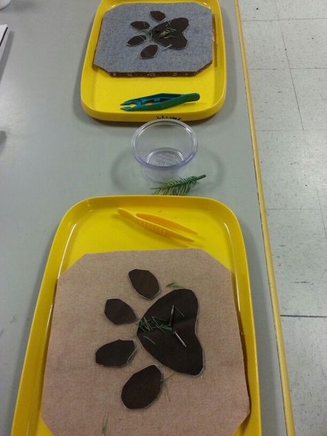 Vet/pet clinic- boards are felt and vinyl, get the "thorns" out of the paw. Use misc. things such nails or pine needles as thorns. Great fine motor skills with tweezers Pet Groomer Dramatic Play, Vet Theme Preschool, Vets Eyfs, Pet Study, Pets Quotes, Pet Theme, Community Helpers Theme, Pets Preschool Theme, Community Helpers Preschool