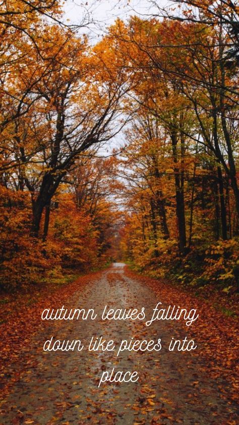 Taylor Swift Fall Aesthetic Wallpaper, Fall Taylor Swift Lyrics, Wallpaper Backgrounds Taylor Swift, Red Tv Wallpaper, All Too Well Wallpaper, Taylor Swift Autumn, Phone Wallpaper Fall, Autumn Leaves Falling, Halloween Sayings