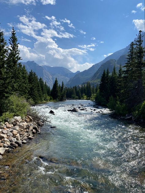 #montanaphotography #montana #rosebudcreek Montana Usa, Rent A Car, Car Rental, Montana, Forest, Running