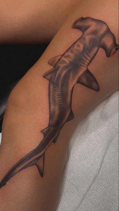 Shark Back Tattoo Men, Shark Shin Tattoo, Shark On Knee Tattoo, Cute Hammerhead Shark Tattoo, Hammerhead Shark Tattoo Ideas, Sternal Tattoos For Women, Shark Tattoo On Leg, Detailed Shark Tattoo, Spine Tattoos For Women Ocean Theme