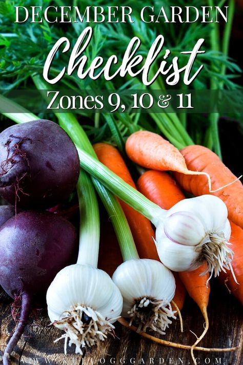 Winter Gardening Checklist Zones 9-11 | Kellogg Garden Organics™ Zone 9 Winter Vegetable Garden, Zone 11 Plants, Zone 11 Vegetable Gardening, Zone 9 Vegetable Planting Guide, Winter Garden Zone 9, Texas Winter Garden, Zone 11 Gardening, Zone 10 Gardening Florida, Zone 10 Gardening