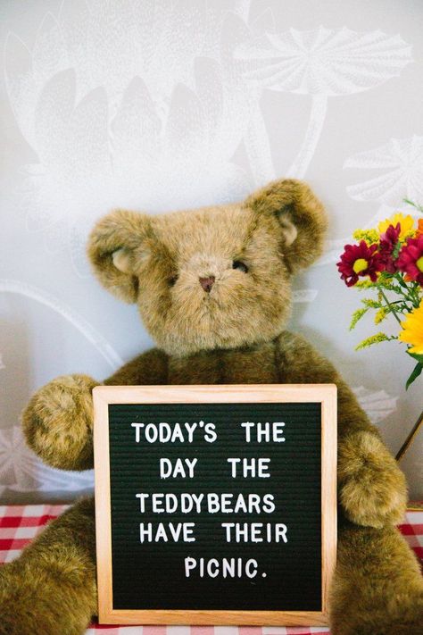 Teddy Bear's Picnic Themed First Birthday Party! Teddy Bears Picnic Food, Bear Picnic Birthday Party, Oso Paddington, Teddy Bear Picnic Birthday Party, Teddy Bear Birthday Party, Picnic Baby Showers, Teddy Bear Day, Picnic Birthday Party, Teddy Bear Party