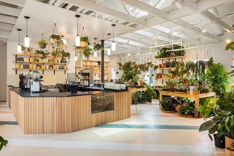 Plant Store Coffee Shop, Cafe And Plant Shop, Opening A Plant Shop, Plants In Coffee Shop, Plant Shop Cafe, Aesthetic Plant Shop, Coffee Plant Shop, Plant Selling Ideas, Plant And Coffee Shop