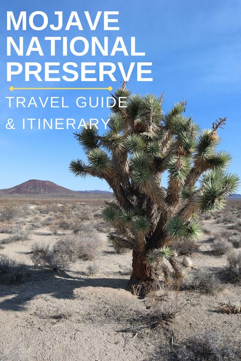 Mojave National Preserve: Travel Guide & Sample Itinerary Kelso Dunes, Mojave National Preserve, Twentynine Palms, California Hikes, Vacation Days, California Dreaming, Road Trip Usa, Planning Tips, Yosemite National Park