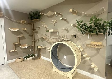 Cat Jungle Gym, Cat Room Decor, Cat Wheel, Furniture Kitchen Island, Katt Grejer, Cat Hotel, Cat Wall Furniture, Cat House Diy, Pet Hotel