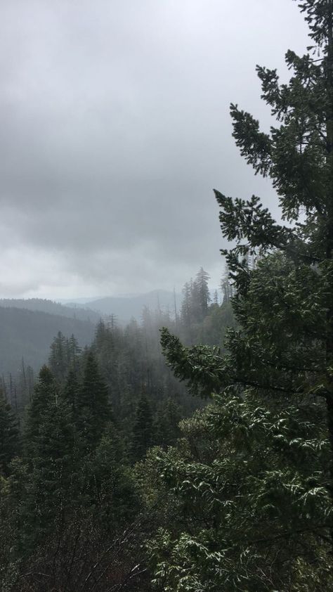 Taken at the Oregon Caves, a must see ☁️❤️ #oregon #nature #travel Oregon Wallpaper Iphone, Fire Watchtower, Crater City, Oregon Wallpaper, Rural Oregon, Cave Aesthetic, Forest Grove Oregon, Oregon Aesthetic, Oregon Trees