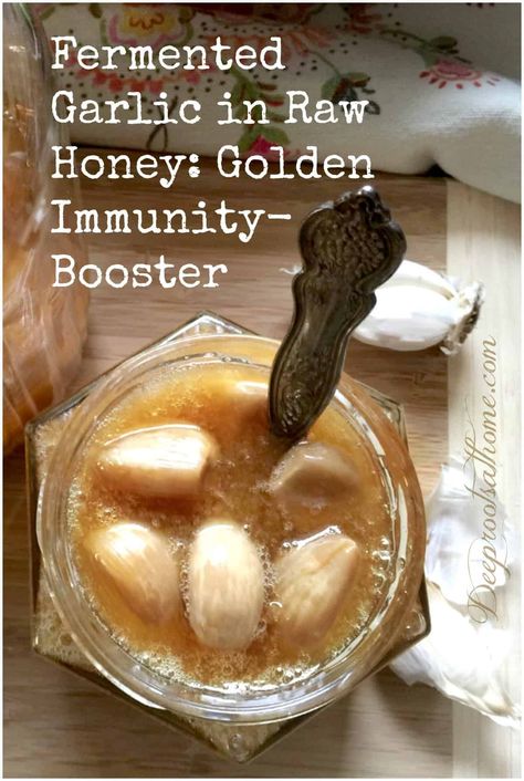 Honey And Garlic Remedy Benefits, Fermented Garlic Honey Uses, Garlic Honey Mason Jar, Honey Antibiotic Natural Remedies, Fermented Honey Garlic Recipes, Benefits Of Garlic And Honey, Garlic And Honey Remedy Benefits, Garlic Honey Medicine Benefits, Fermented Garlic Honey Benefits