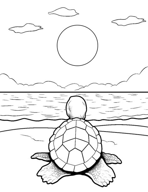 Turtle Watching Sunrise coloring page - Download, Print or Color Online for Free Turtle Coloring Pages Free Printable, Zoo Animal Coloring Pages, Turtle Coloring, Turtle Coloring Pages, Farm Animal Coloring Pages, Valentine Coloring Pages, Kids Animals, Spring Coloring Pages, Coloring Pages Free Printable