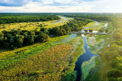 Okavango Delta | Botswana Tourism Organisation Botswana Tourism, Magical Locations, Okavango Delta Botswana, Okavango Delta, Fan Palm, Botswana, Unesco World Heritage Site, Unesco World Heritage, Heritage Site