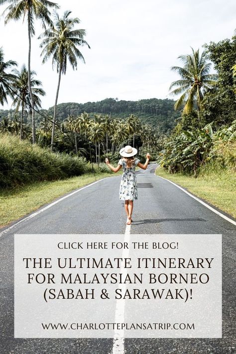 Borneo Itinerary, Borneo Sabah, Gunung Mulu National Park, Borneo Travel, Malaysia Itinerary, Sandakan, Bali Travel Guide, Cameron Highlands, Asia Trip