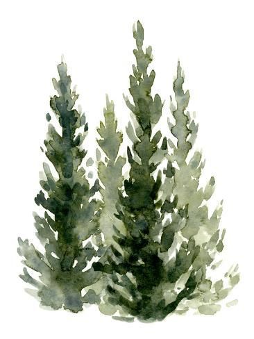 size: 12x9in Art Print: Simple Evergreens II by Emma Caroline : Watercolor Christmas Cards Diy, Learn Watercolor, Frame Structure, Diy Watercolor Painting, Watercolor Christmas Cards, Diy Watercolor, Watercolor Art Lessons, Evergreen Trees, Watercolor Trees