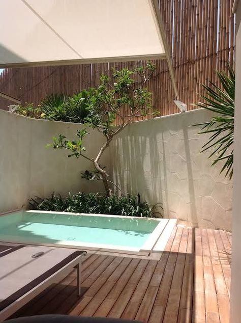 Plunge Pool Ideas Small Spaces, Backyard Splash Pad, Shallow Pool, Villa Inspiration, White Modern Furniture, Abandoned Mansion For Sale, Homemade Pools, Contemporary Backyard, Bali Garden