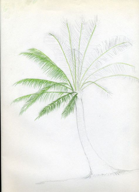 Let's draw palm trees. Great Guide. Easy to follow process. Tree Drawing Easy, Trees Drawing, Tree Drawing Simple, Palm Tree Drawing, Palm Trees Painting, Palm Tree Art, Tree Sketches, Prim Christmas, Watercolor Trees