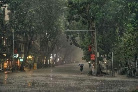 Pouring Rain, Trees, Laptop, Twitter