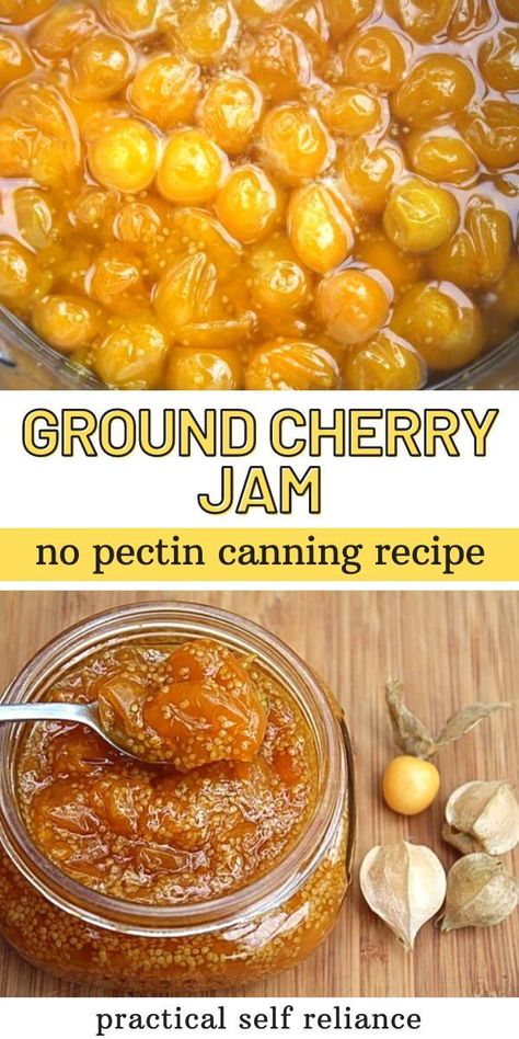 Ground Cherry Jam for Canning: No Pectin Jam Recipes - Looking for ground cherry recipes? You'll love this easy homemade ground cherry jam made with only 3 ingredients. No pectin required! ground cherry recipes | ground cherry jam no pectin Jam For Canning, Ground Cherry Recipes, Cherry Freezer Jam, Cherry Jelly Recipes, Selling Baked Goods, Preserving Fruit, Ground Cherries, Ground Cherry, Canning Apples