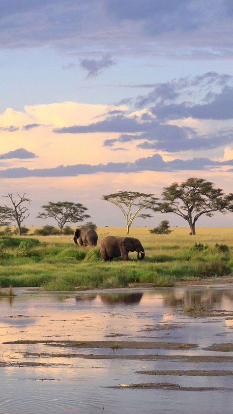 Experience an unforgettable safari in the wilds of South Africa. Go in search of lions in Kruger National Park and fall in love with vibrant Cape Town.