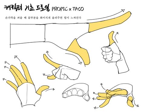 Concept Drawing, Taco Taco, Anatomy Tutorial, Hand Drawing Reference, Anatomy Sketches, Body Reference Drawing, 캐릭터 드로잉, Anatomy Drawing, Figure Drawing Reference