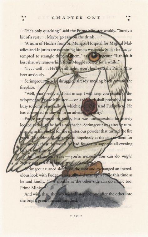 Hedwig Art, Nursery Harry Potter, Imprimibles Harry Potter, Harry Potter Gift, Art Harry Potter, Harry Potter Nursery, Tapeta Harry Potter, Harry Potter Book, Buku Harry Potter