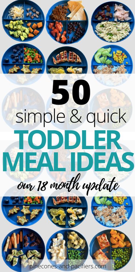 Toddler Menu, Toddler Friendly Meals, Toddler Meal Ideas, Easy Toddler Meals, Toddler Dinner, Picky Toddler, Toddler Breakfast, Toddler Lunches, Baby Finger Foods