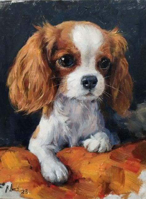 Cavalier King Spaniel, King Spaniel, Spaniel Art, Cavalier King Charles Dog, King Charles Dog, King Charles Cavalier Spaniel Puppy, Dog Drawing, Dog Paintings, Charles Spaniel