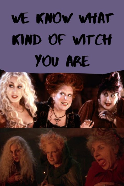 Which Witch Are You, Different Witches, Different Types Of Witches Quiz, Are You A Witch, What Type Of Witch Am I, Signs You Are A Witch, How To Know If You Are A Witch, What Witch Am I, What Kind Of Witch Am I Quiz