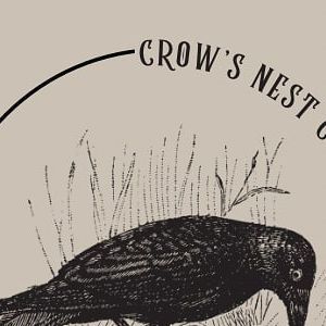 Crow's Nest Collections on Instagram: "Crows are a member of the corvidae family; A group of birds known to gather sparkly objects to adorn their nests, attract a mate, or even to "gift." I am so thankful to my dearest friend @magnificently_cursed for helping me with my branding!" Lucanis Dellamorte, To My Dearest Friend, Group Of Birds, Crow's Nest, My Dearest, So Thankful, Crows, A Group, Dear Friend