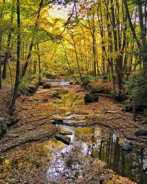 Cleveland Metroparks, Cleveland Rocks, Cleveland Clinic, Fall Day, Cleveland Ohio, Instagrammer, Mother Earth, Travel Usa, Cleveland