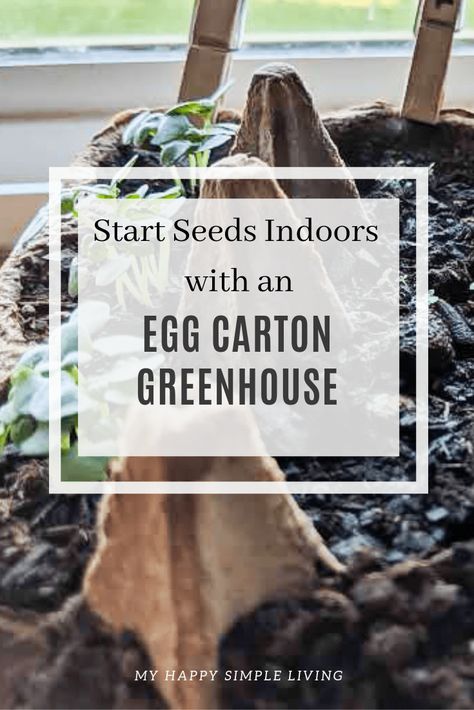 Egg Carton Garden, Diy Small Greenhouse, Seed Starting Indoors, Indoor Gardening Supplies, Start Seeds Indoors, Seedlings Indoors, Starting Seeds, Starting Seeds Indoors, Small Greenhouse