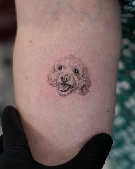 Micro Pet Portrait Tattoos, Fine Line Pet Portrait Tattoo, Realism Dog Tattoo, Fine Line Dog Portrait Tattoo, Dog Tattoo Realism, Maltipoo Tattoo, Pet Portrait Tattoo, Pet Portrait Tattoos, Pet Tattoo Ideas