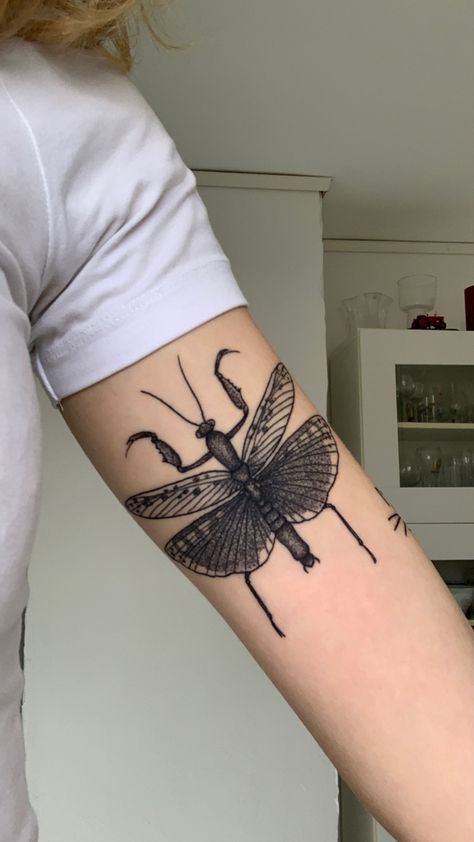 Bug Tattoos For Women, Praying Mantis Tattoo, Tattoos For Women Arm, Tattoo Elbow, Mantis Tattoo, Tattoo On The Back, Animal Sleeve, Optical Illusion Tattoos, Card Tattoo Designs