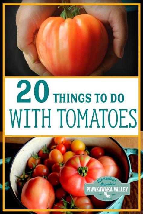 What to do with too many tomatoes? Summer harvest is in full swing, and finding things to do with tomatoes can be hard. Here are 20 recipes that will help you use up your tomatoes and preserve them for later in the year. Canning, dehydrating, fermenting and pickling recipes are all included! #tomatoes #summer #piwakawakavalley #summerbounty #harvest #canning Too Many Tomatoes, Tips For Growing Tomatoes, Growing Organic Tomatoes, Tomato Farming, Growing Tomatoes In Containers, Canned Meat, Summer Harvest, Canning Tomatoes, Organic Tomatoes