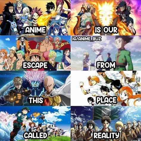 My Hero Academia Crossover, Anime Rules, Anime Websites, Twin Star Exorcist, Anime Tutorial, Escape Reality, Anime Wallpaper Phone, My Hero Academia Memes, Anime Jokes