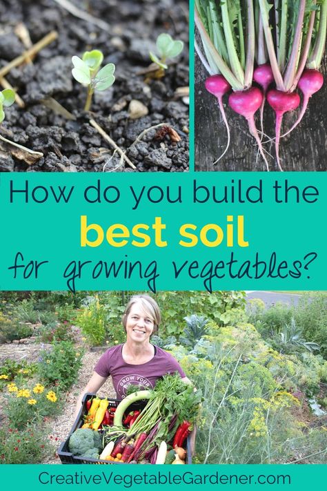 Soil health is one of the most important factors in the success of your garden. But, what is the best soil for a vegetable garden? Best Soil For Vegetable Garden, Soil For Vegetable Garden, Garden Soil Mix, Vegetable Garden Soil, Vegetable Garden Tips, Small Vegetable Gardens, Vegetable Gardens, Garden Veggies, Organic Soil