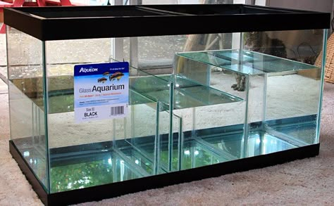 Saltwater Aquarium Beginner, Saltwater Aquarium Setup, Aquarium Chiller, Aquarium Sump, African Cichlid Aquarium, Biotope Aquarium, Marine Fish Tanks, Kolam Koi, Amazing Aquariums