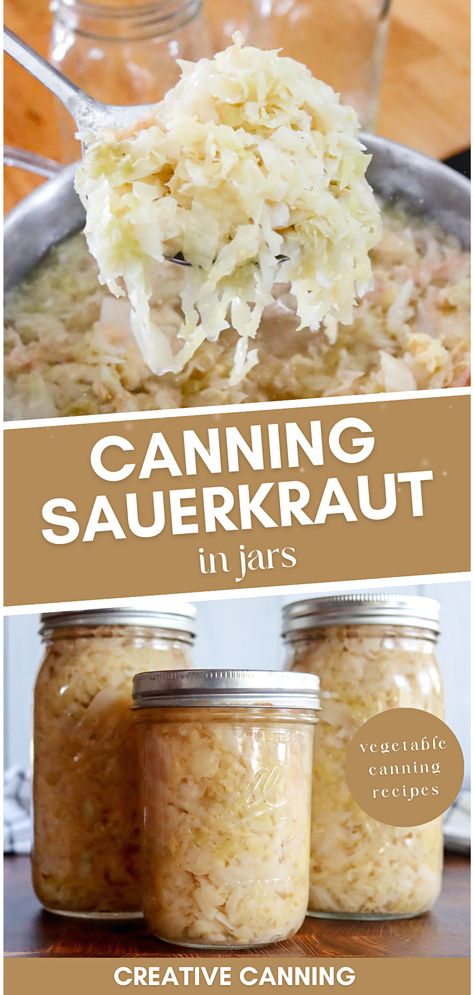 Start canning sauerkraut in jars, and preserve the authentic flavors of fermented foods. This vegetable canning recipe for canning sauerkraut walks you through every step of canning homemade sauerkraut, from fermentation to water bath canning, ensuring a tangy treat all year round. Canning Sauerkraut Without Fermentation, Canning Sauerkraut Recipes Mason Jars, Saurkraut Recipes Canning, Refrigerator Sauerkraut, Sourkrout Recipes Canning, Homemade Sauerkraut In A Crock, Canning Sauerkraut Recipes, How To Can Sauerkraut, Making Sauerkraut Homemade