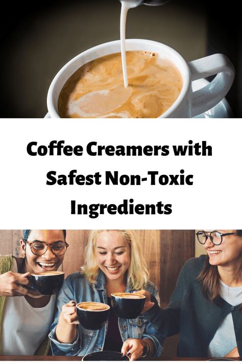 Clean Coffee Creamer, Hazelnut Coffee Creamer, Healthy Coffee Creamer, Hazelnut Creamer, Flax Milk, Clean Coffee, Coconut Creamer, French Vanilla Creamer, Vanilla Coffee Creamer