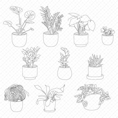 Flat Vector House Plants PNG - Toffu Co Zz Plant Tattoo, Dainty Doodles, House Plant Tattoo, Plant Peperomia, Market Drawing, Watermelon Peperomia, Peperomia Obtusifolia, Bird's Nest Fern, Vector House