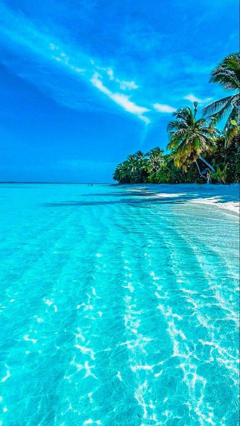 15 Best Tropical Vacations | Beautiful places to travel, Beautiful places to visit, Beautiful beach pictures Beach Pictures Ocean Aesthetic, Best Nature Places To Visit, Beautiful Beach Aesthetic, Beach Places To Travel, La Mer Aesthetic, Water Beach Pictures, Tropical Places To Travel, Tropical Beach Pictures, Beautiful Places Aesthetic