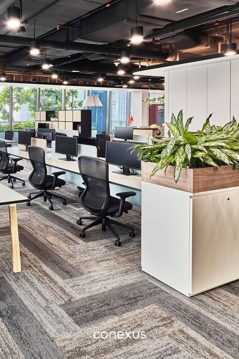 Open Space Workspaces, Open Plan Workstations, Office Open Plan Design, Small Company Office Design, Company Interior Design Office Spaces, Open Concept Office Design Work Spaces, Open Concept Office Space Layout, Google Office Design Workspaces, Office Open Space Design