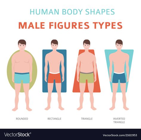 Mens Body Types, Human Body Shape, Body Shape Drawing, Preventative Health, Inverted Triangle, Body Figure, Body Drawing, Male Figure, Type Setting