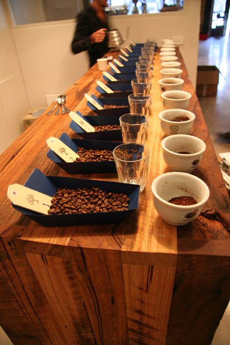 Coffee Cupping, Coffee Lab, Coffee History, Coffee Roastery, Coffee Business, Coffee Shops Interior, Tasting Party, Coffee Pictures, Coffee Photos