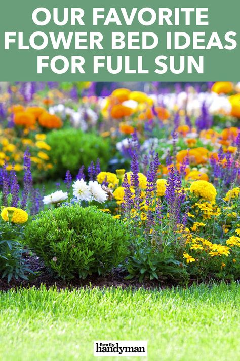 Our Favorite Flower Bed Ideas for Full Sun Full Flower Beds, Flowerbed Design Ideas, Backyard Landscaping Flower Beds, Bedding Plants For Full Sun, Colorful Flower Bed Ideas, Flower Beds For Full Sun, Lawn Flower Bed Ideas, Sunny Front Yard Landscaping Ideas, Small Perrenial Gardens Layout Full Sun